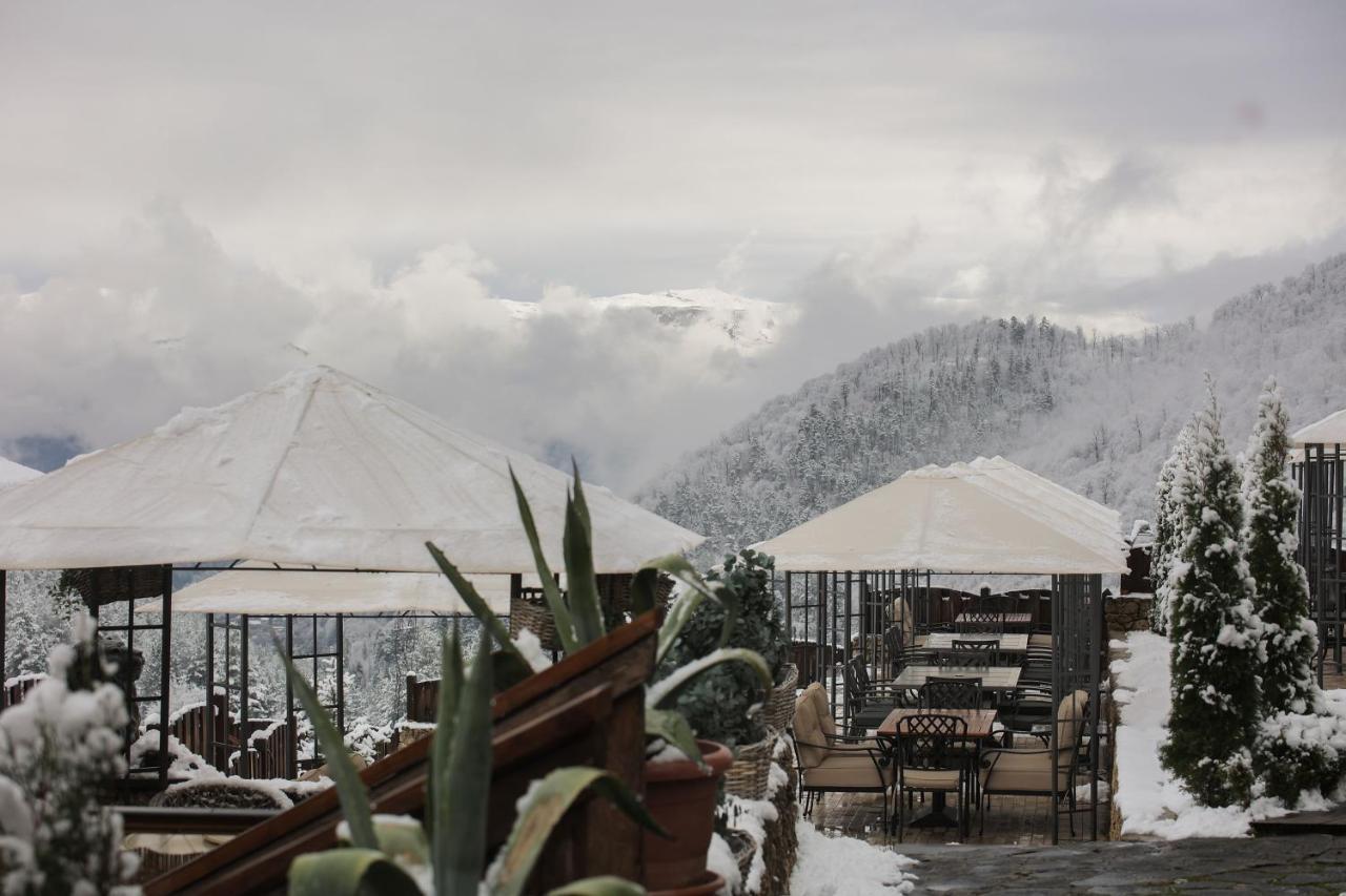 Alpine Castle Hotel Dilican Dış mekan fotoğraf